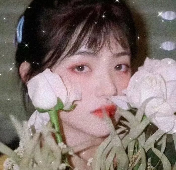 角落里的阳光