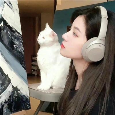 盛装舞步爱作战粤语