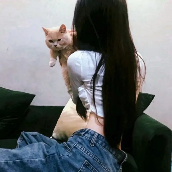 敦子求爱任务
